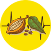 Pakar Kakao
