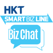 Smart Biz Line - Biz Chat