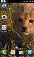 Baby Cheetah Live Wallpaper स्क्रीनशॉट 1