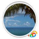 Beach Palm Tree Live Wallpaper aplikacja