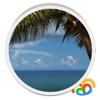 Beach Palm Tree Live Wallpaper icon