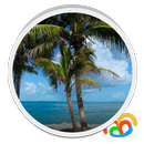 Beach Trees Live Wallpaper APK