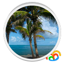 Beach Trees Live Wallpaper aplikacja