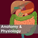 Nursing Anatomy & Physiology APK
