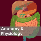 Nursing Anatomy & Physiology ícone