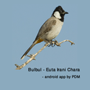 Bulbul - Euta Irani Chara aplikacja