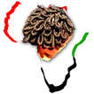 Shine My Locs & Braids icon