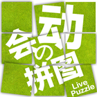 Live Puzzle icône