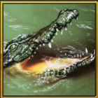 Wild Hungry Crocodile 3D icon