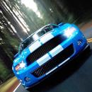 Street Traffic Driver APK