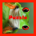 Frog Puzzles