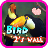”Bird 2's wallpaper
