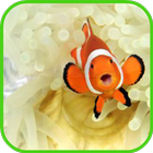 fish wallpaper-icoon