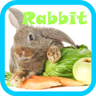 Rabbit Live wallpaper ikon