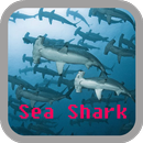 Sea Shark wallpaper APK