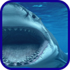 Shark blue sea wallpaper APK