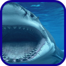 Shark blue sea APK