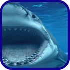 Shark blue sea icône