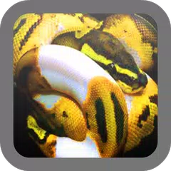 Snake wallpaper