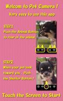 Pet Camera    for dogs & cats screenshot 3
