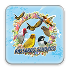 200+ Canto de Passaros Silvestres Mais Bonitos icon