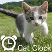 CatPhotoClock