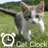 CatPhotoClock icon