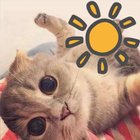 Kitten weather app simgesi