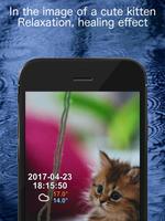 Kitten weather app Ekran Görüntüsü 3
