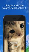 Kitten weather app gönderen