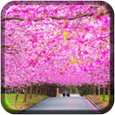 Peach cherry blossom wallpaper-APK