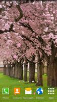 Peach cherry blossom wallpaper ภาพหน้าจอ 1