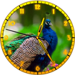 Peacock Clock