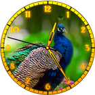Peacock Clock ไอคอน