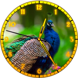 Peacock Clock