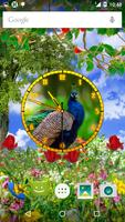 Peacock Clock ภาพหน้าจอ 2