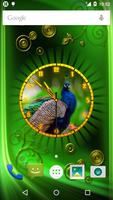 Peacock Clock ภาพหน้าจอ 3