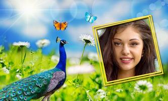 Peacock Photo Frames HD 截圖 1