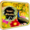 ”Peacock Photo Frames