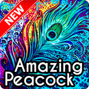 Peacock Wallpaper APK