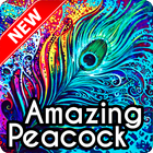 ikon Peacock Wallpaper