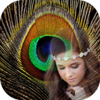 Peacock Feathers Photo Frame أيقونة