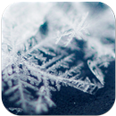 Winter Wallpapers APK