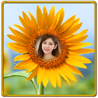 Sunflower Photo Frames ikona