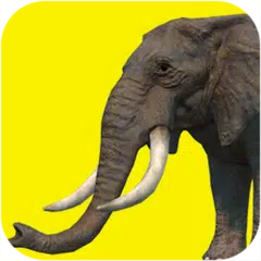 Elephant games free APK download