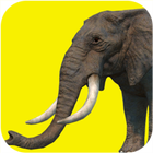 Elephant games free icône