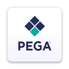 ikon Pega Mashup Preview