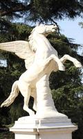 Pegasus Wallpaper screenshot 2