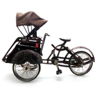 pedicab miniature, أيقونة