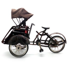 miniature, pedicab icon